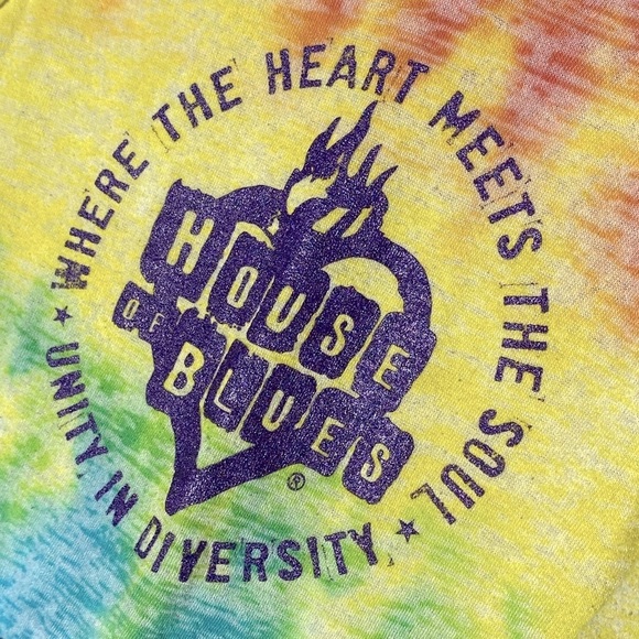 House Of Blues Rainbow Unity Diversity Hoodie L - Picture 9 of 12